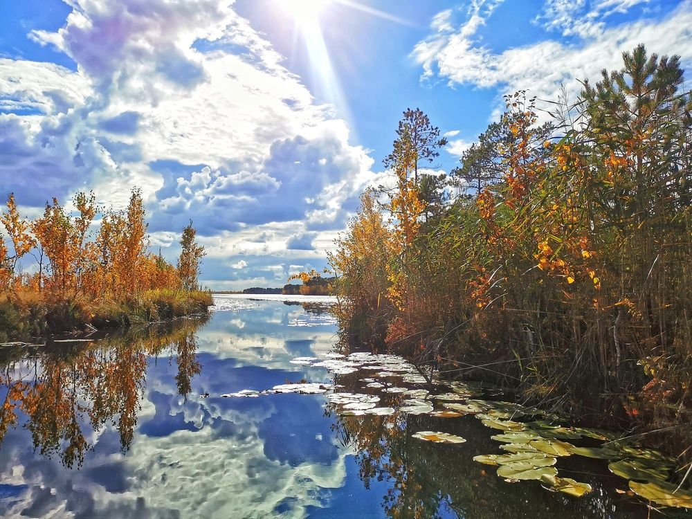 Photograph by Vyacheslav Monoszon