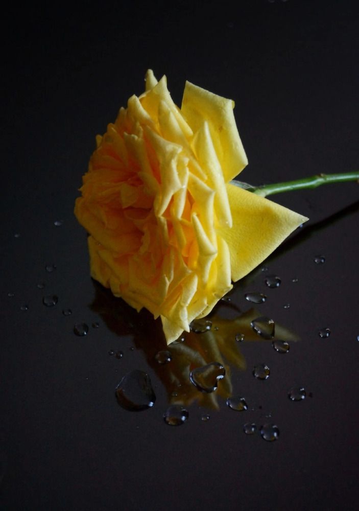 Photograph by Ирина Чувило