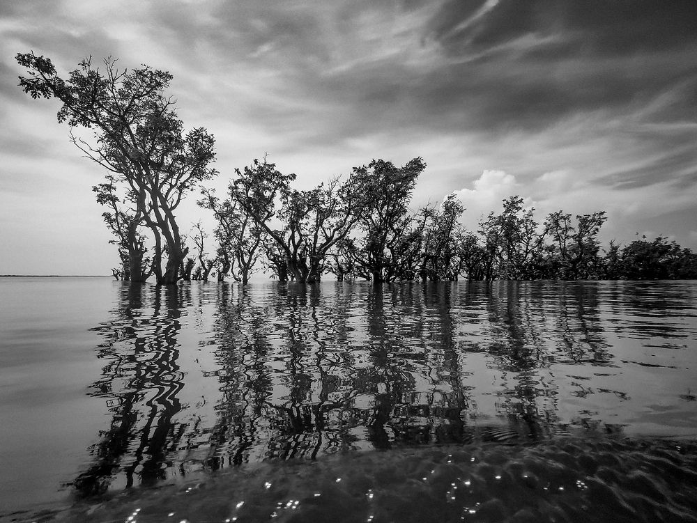 Photograph by Abdullah Hil Kafi