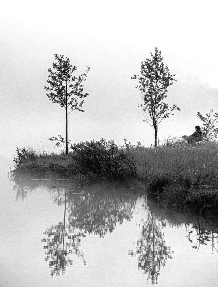 Photograph by Пчелкин Дмитрий