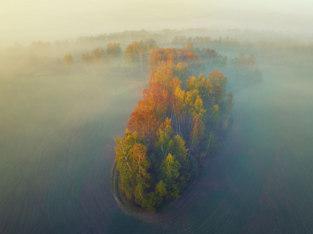 Photograph by Брытков Николай