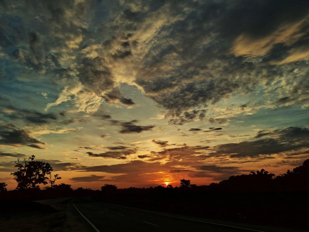 Photo #9629884