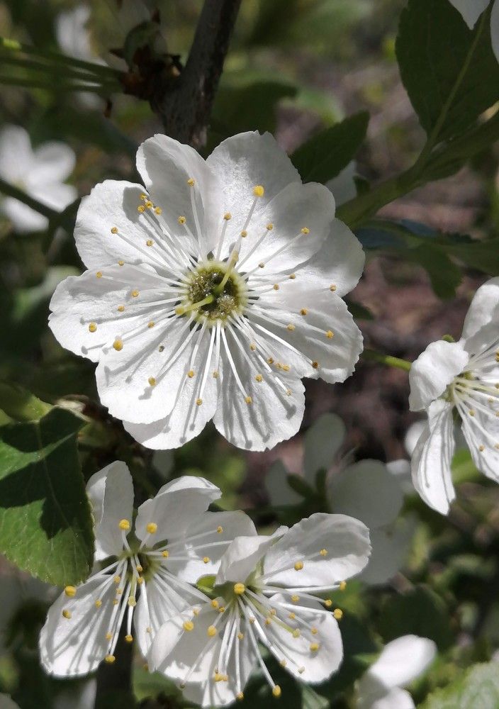 Photograph by Татьяна Ненюхина