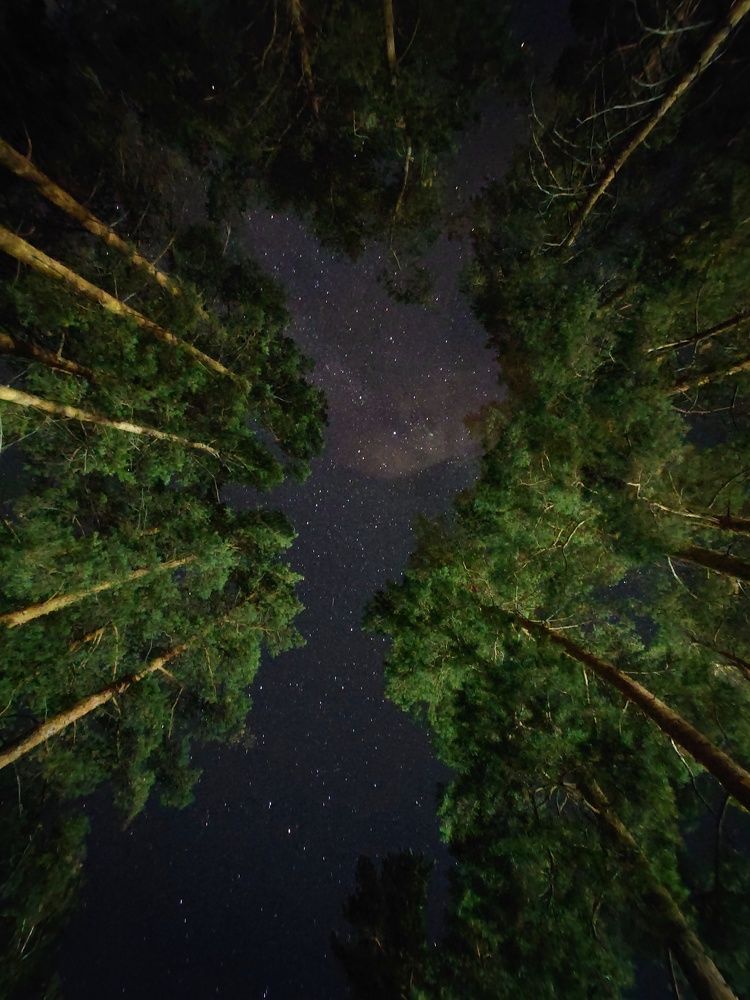 Photograph by Иван Нестеров