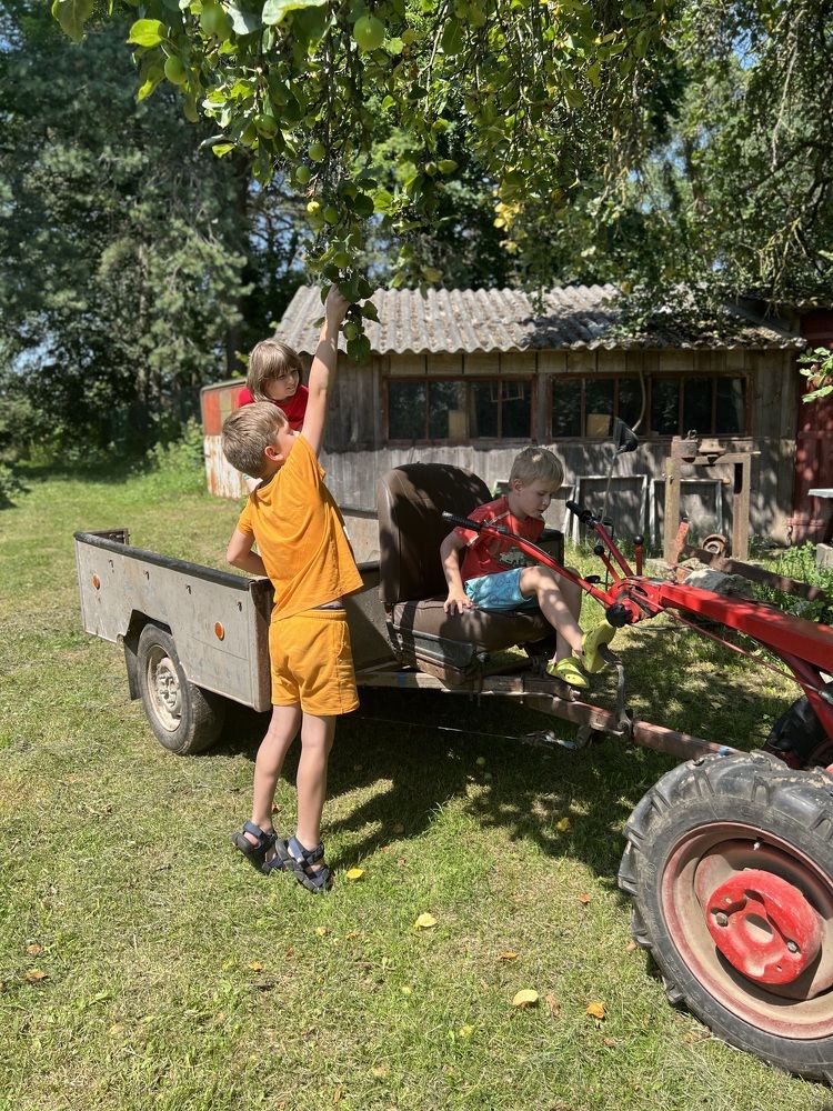 Фотография автора Наталья Васько -Черданцева