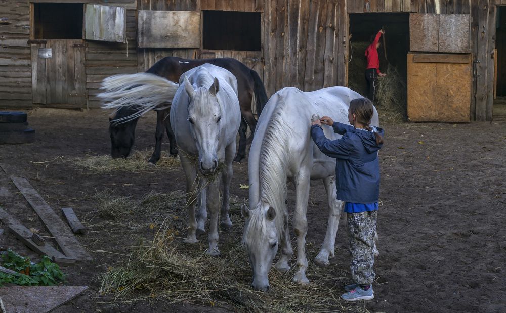Photograph by Цветков Сергей