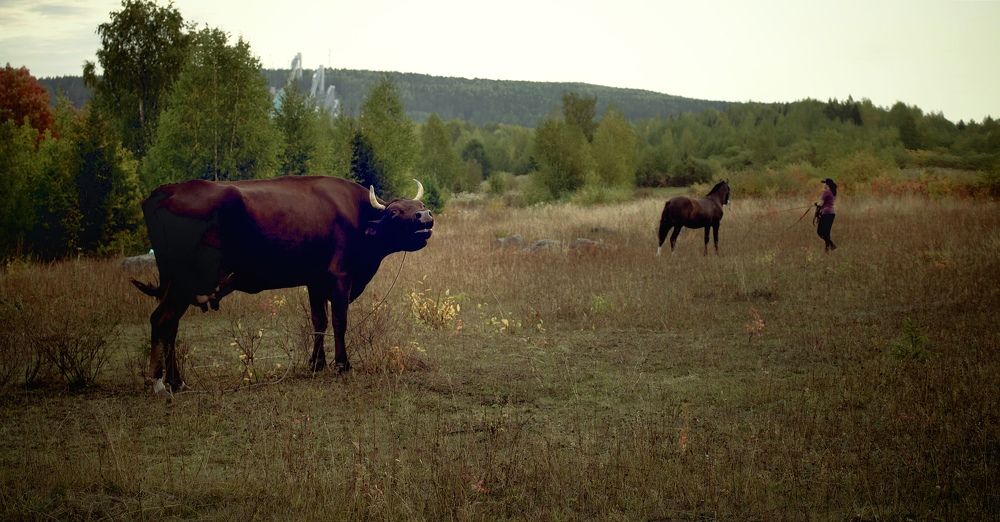 Photograph by Татьяна Карташева
