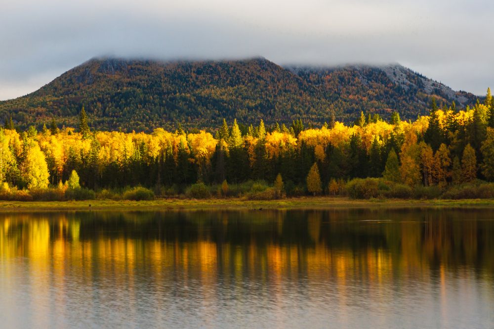 Осеннее утро