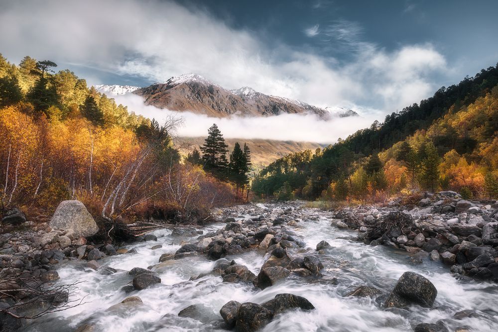 Photograph by Андрей Баскевич