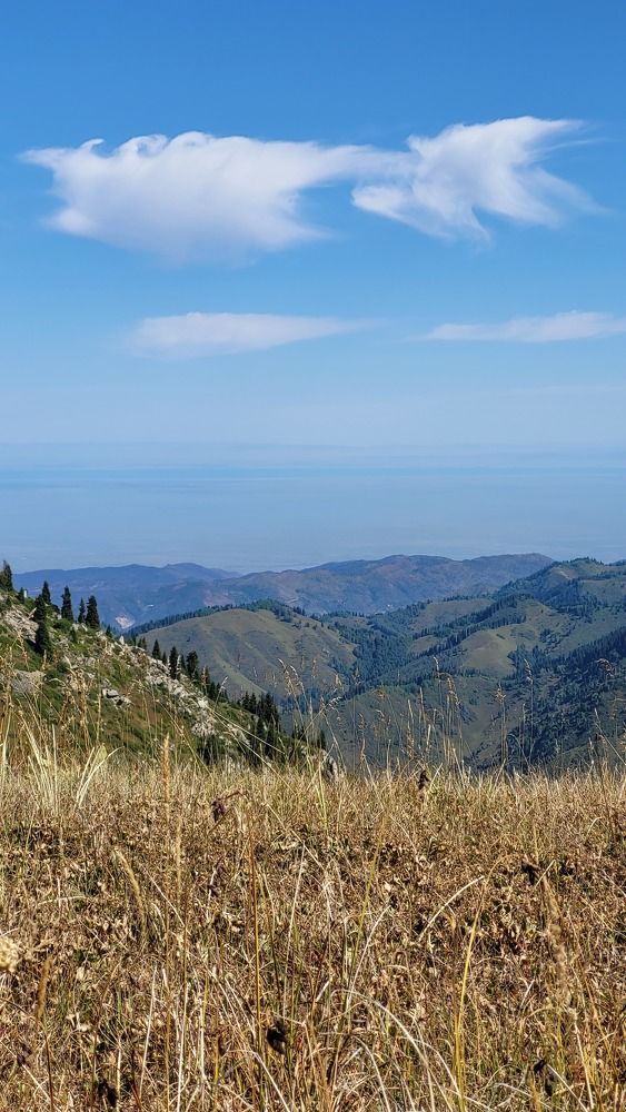 Фотография автора Алексей Дегтярёв