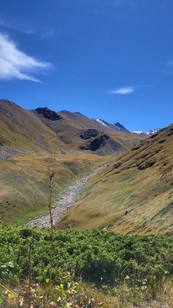 Фотография автора Алексей Дегтярёв