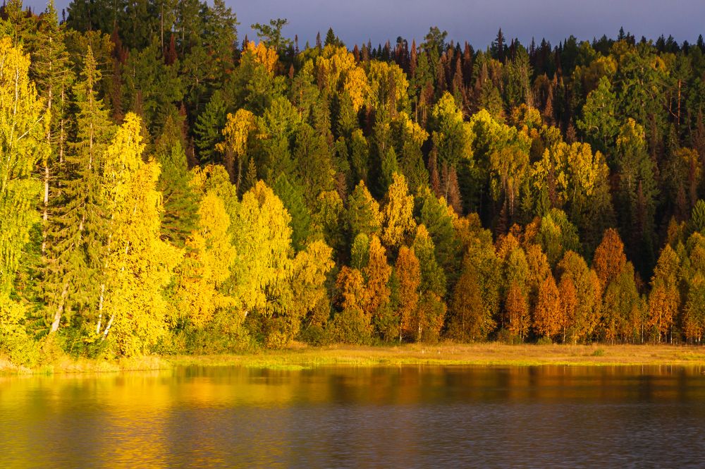 Осеннее утро