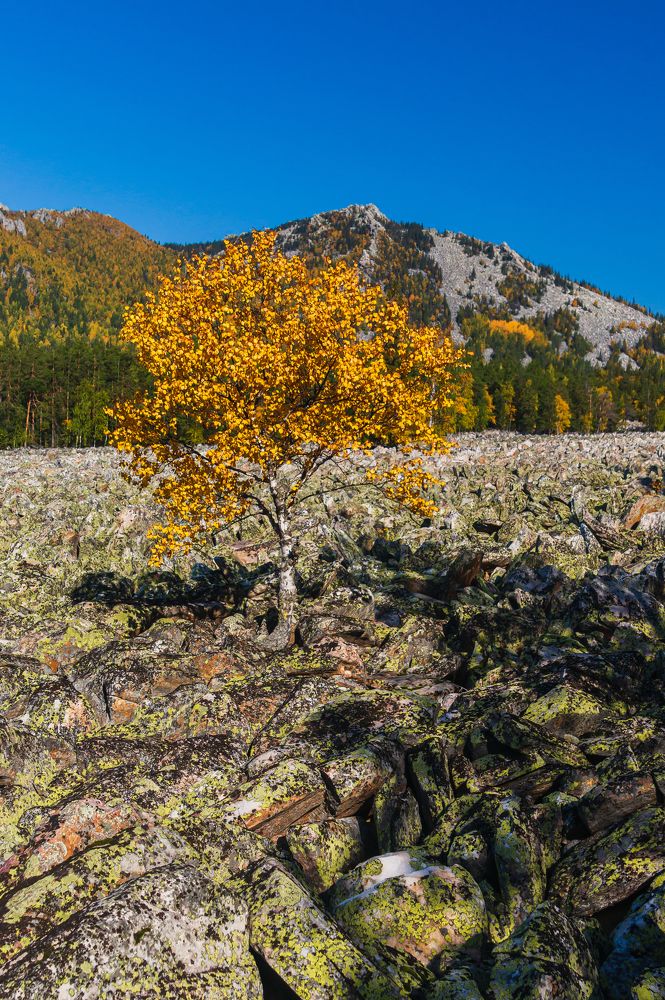 Photograph by Артур Ибрагимов