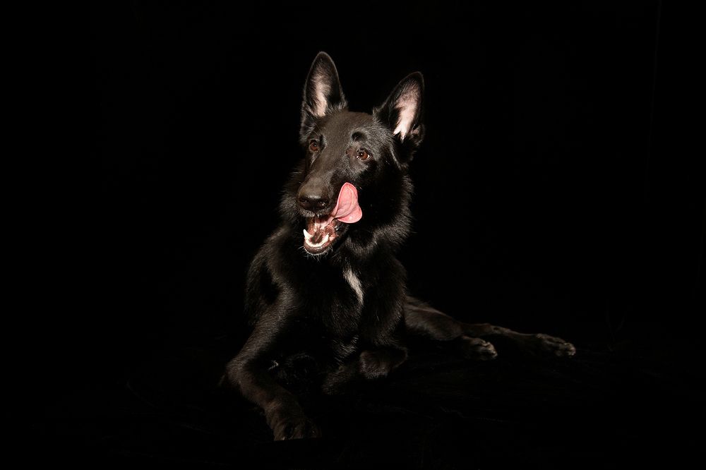 Фотография автора Надежда Лисицына