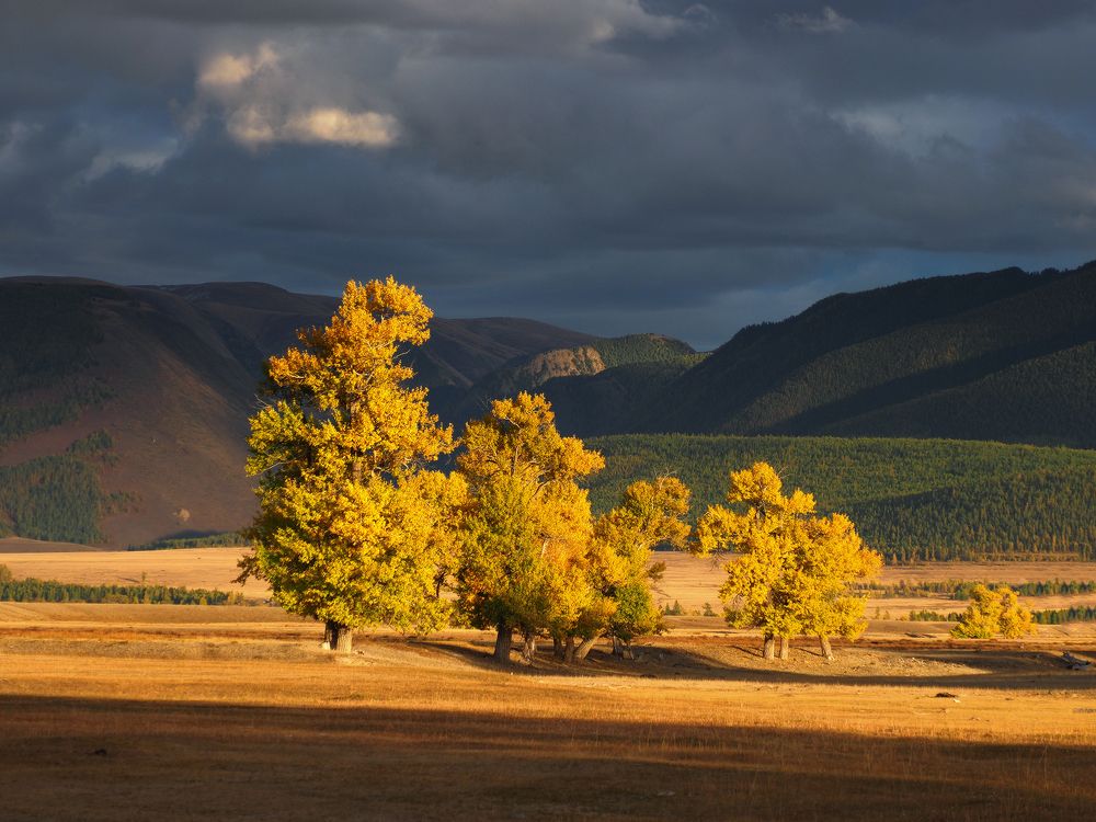 Photograph by Галина Хвостенко