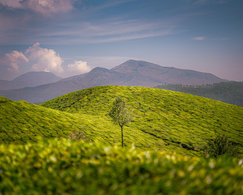 Photograph by Kundan Baruah