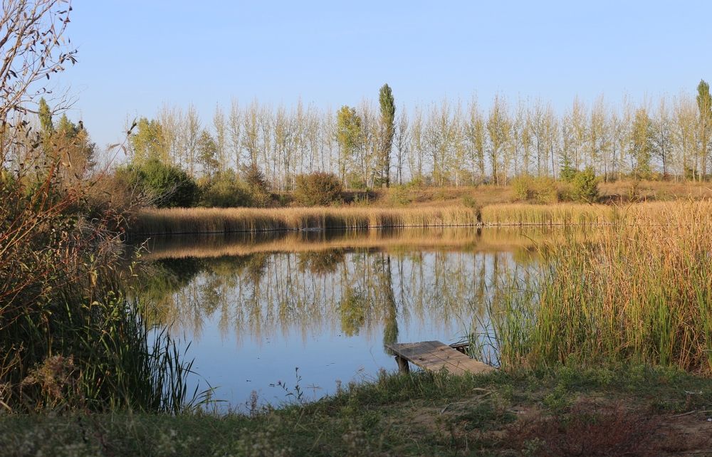 Photograph by АЛЛА ТАРАСЕНКО