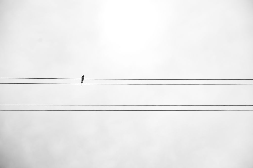 Фотография автора Лукашенко Ольга