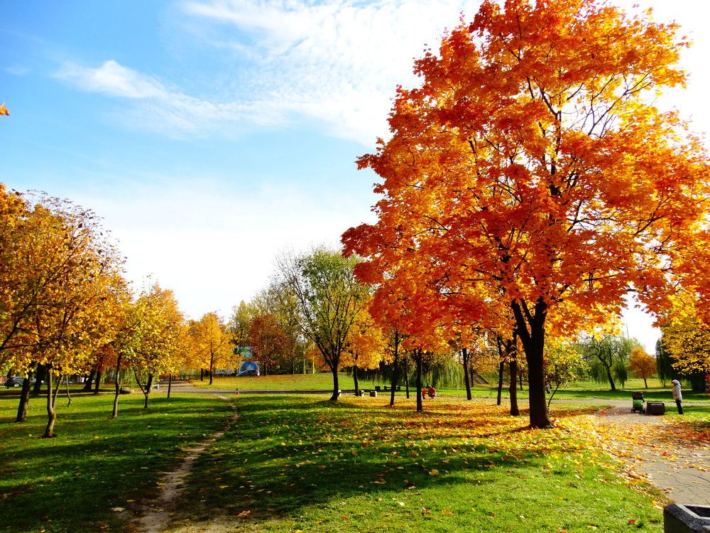 Photograph by Ирина Половцева