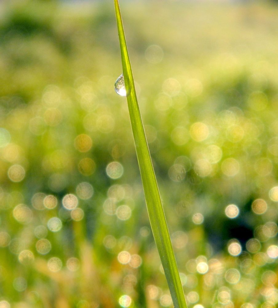 Photograph by Иван Крылов