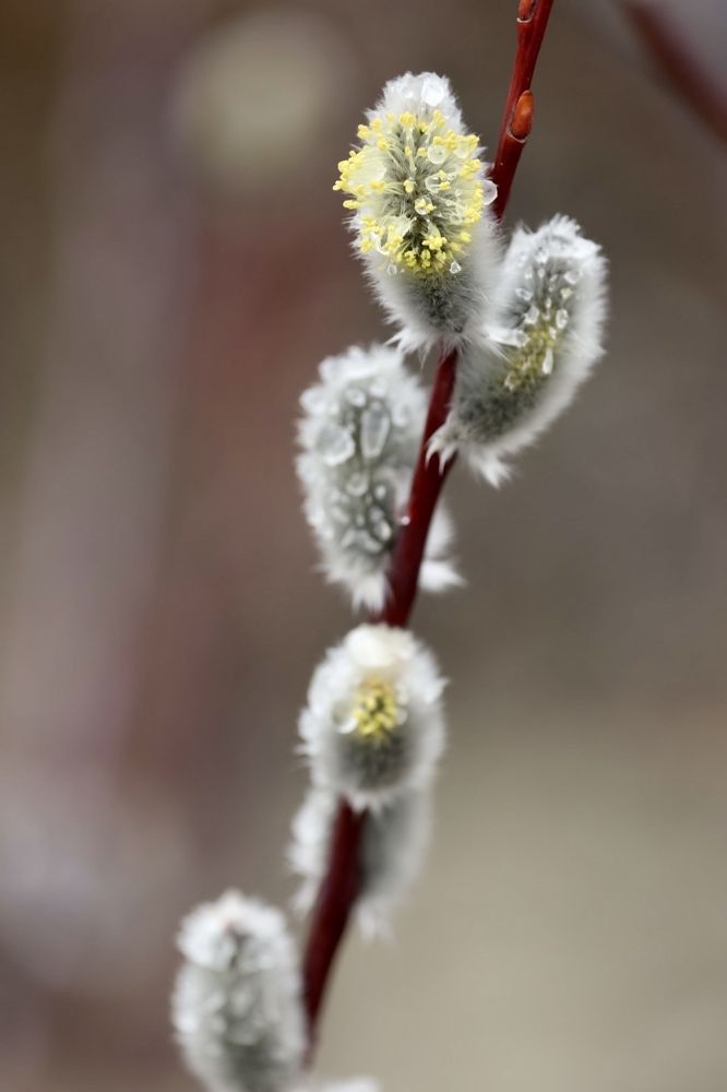 Photograph by Ольга Одаренко