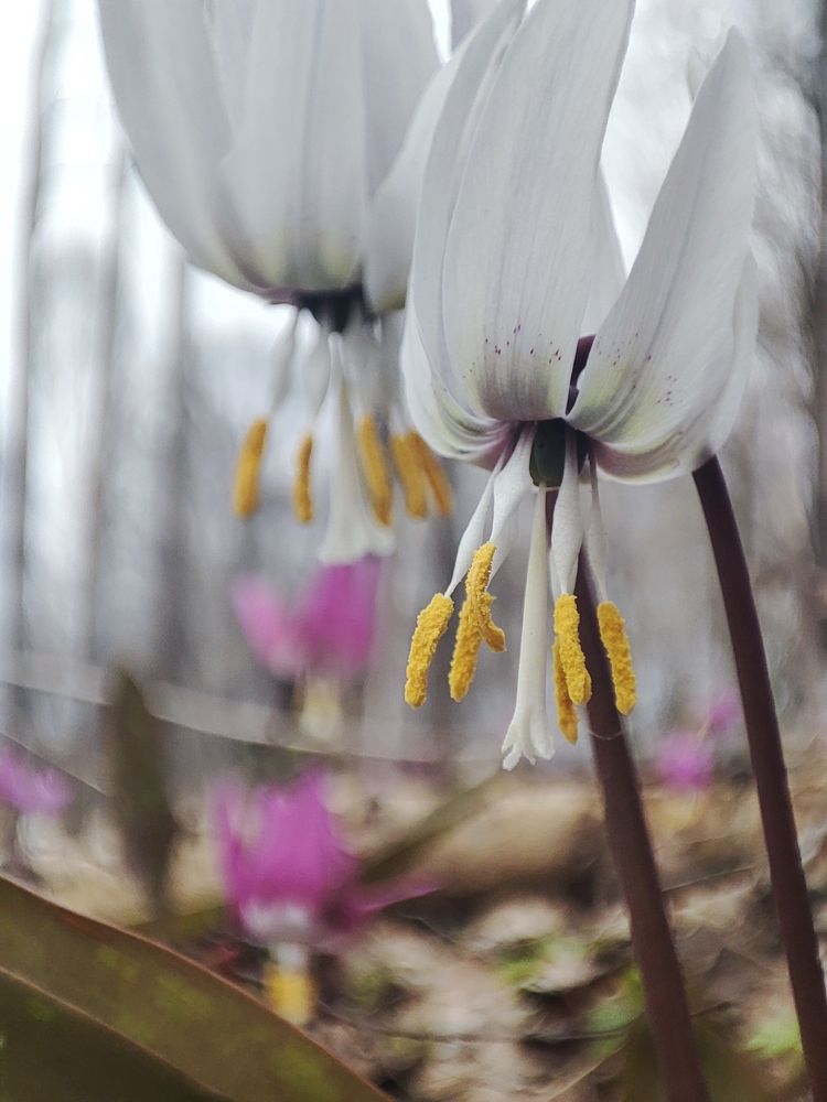 Photograph by Алина Эбель