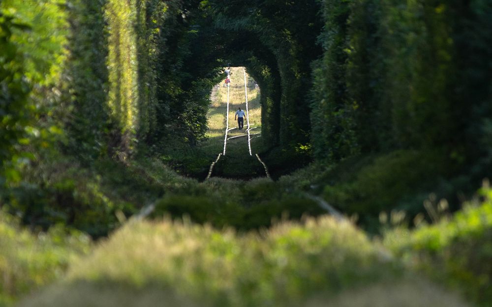 Waiting for the next train