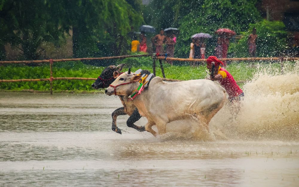 Фотография автора Sk Siddique Ali