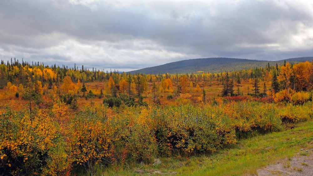 Photograph by Сергей Иванов