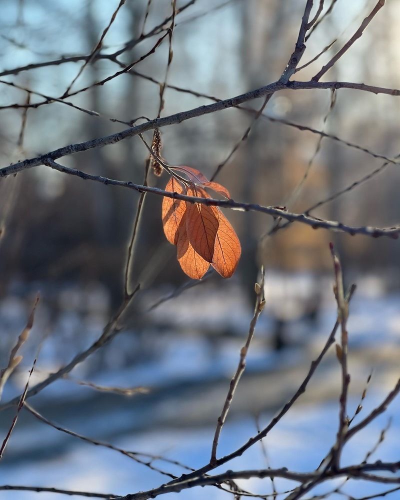 Photograph by Татьяна Волохова