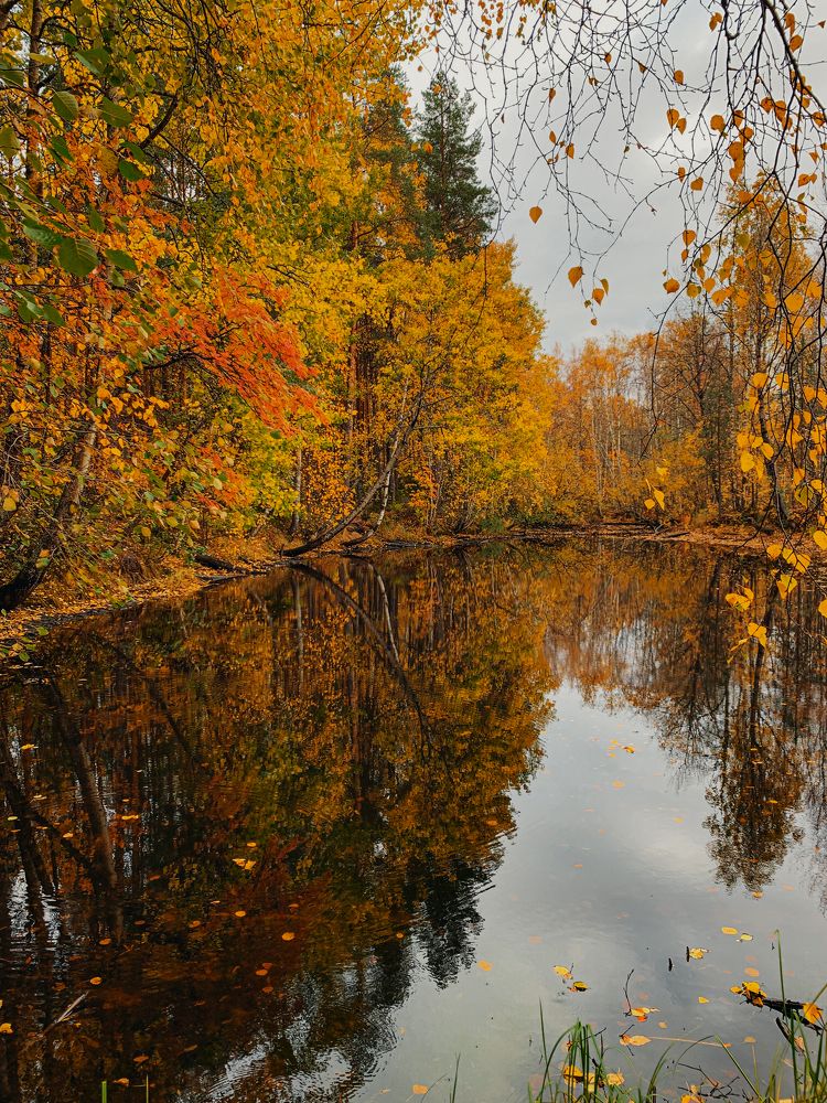Photograph by Мария Василенко