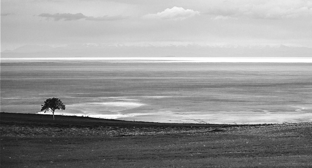 Photograph by Homayoun Tamaddon