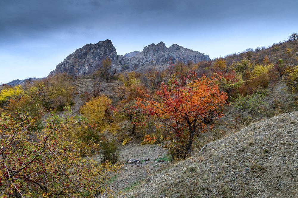 Photograph by Андрей Евтеев