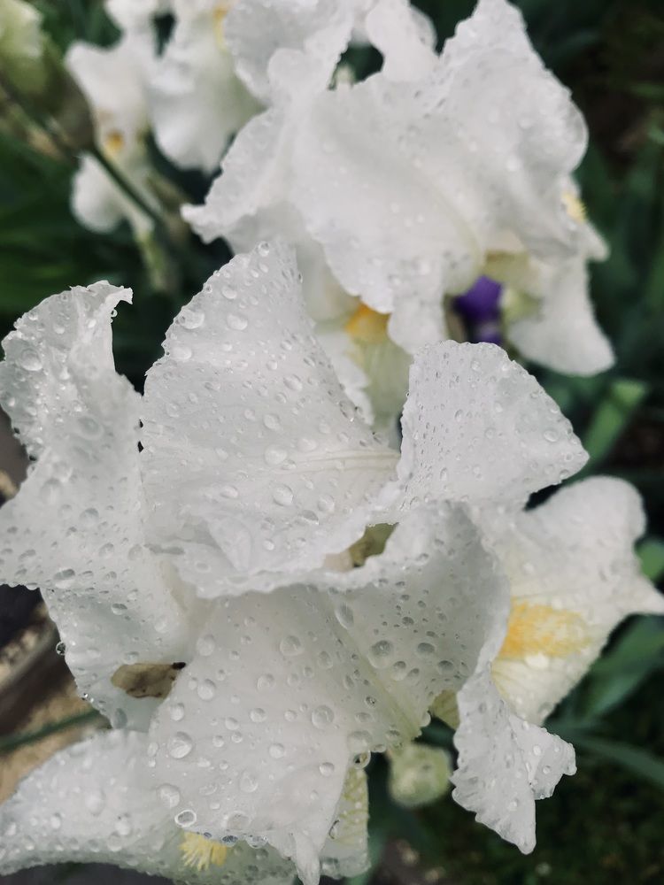 Photograph by Наталия Столяр