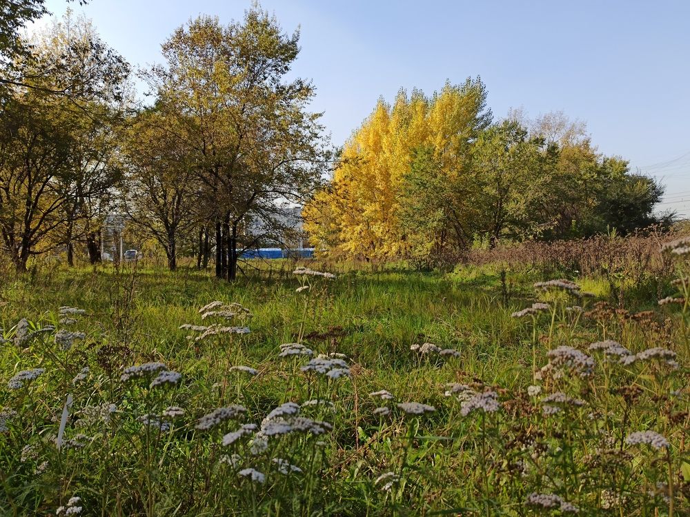 Фотография автора Александр Осинцев