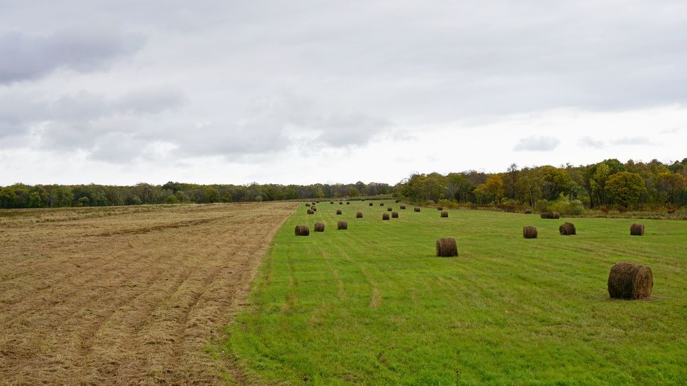 Photograph by Оксана Трофименко