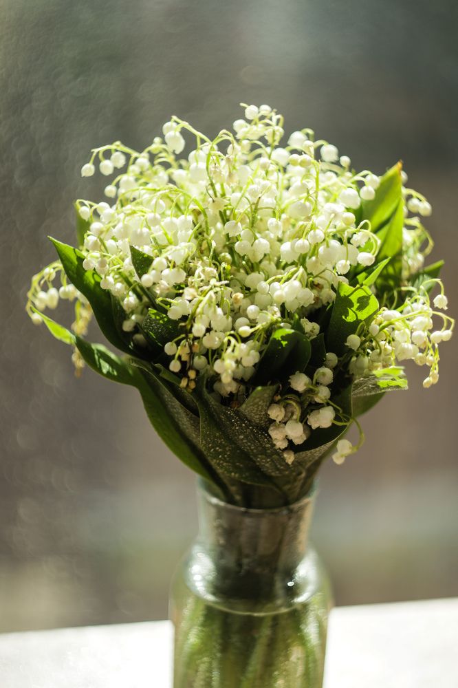 Photograph by Елена Квасова