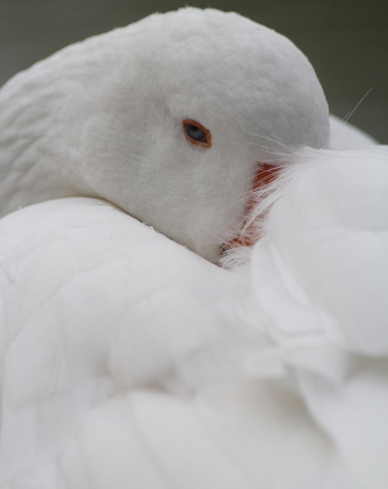 Photograph by Nadzeya