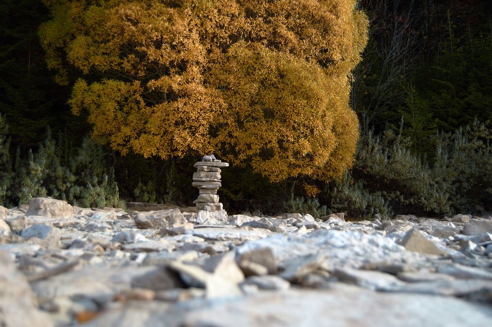 Photograph by Маргарита Гасец