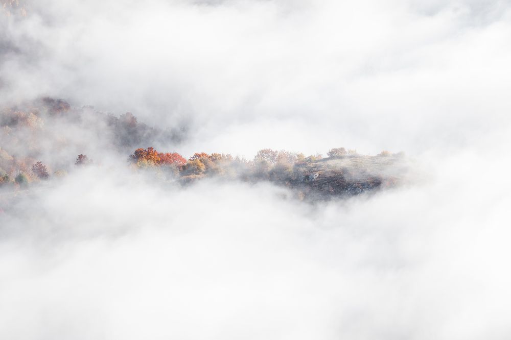 Photograph by Олег Болотников