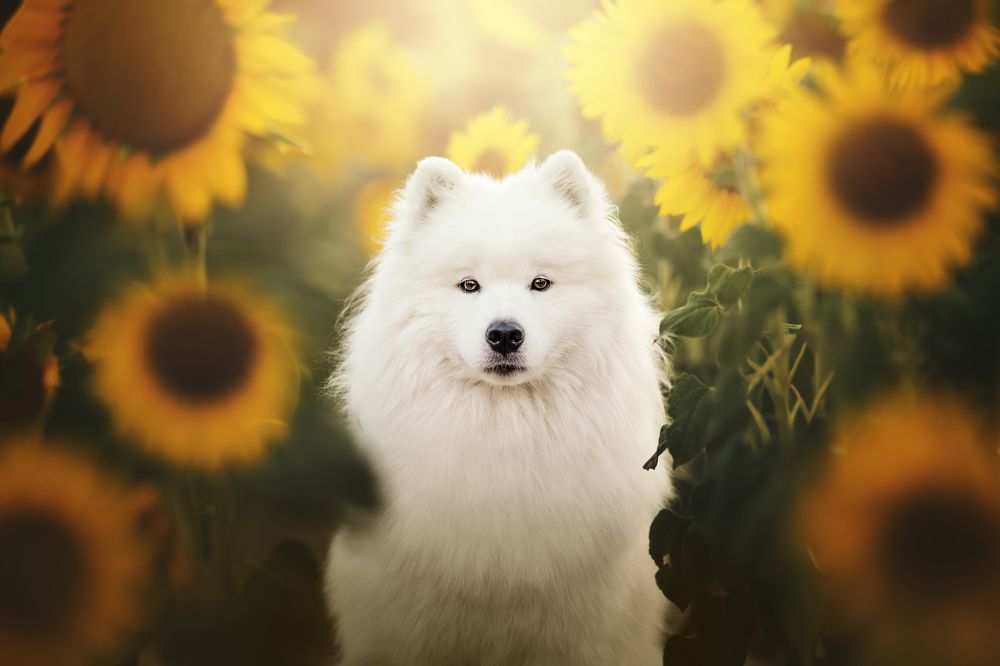 Фотография автора Rut Casanellas