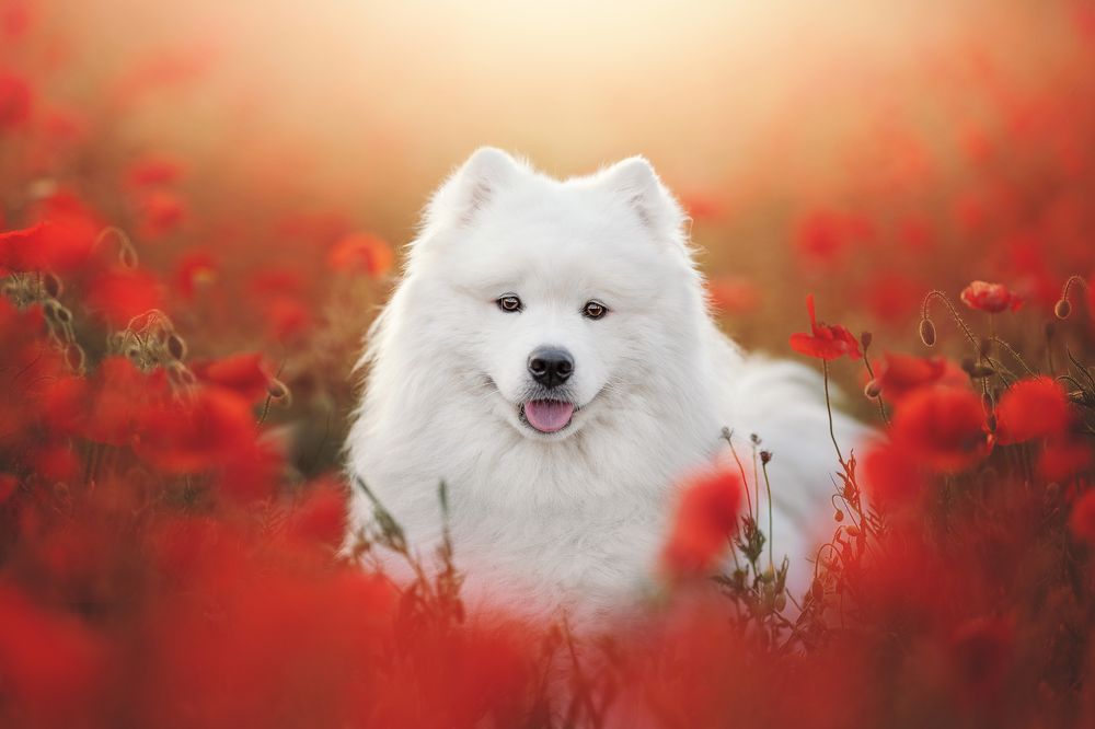 Photograph by Rut Casanellas