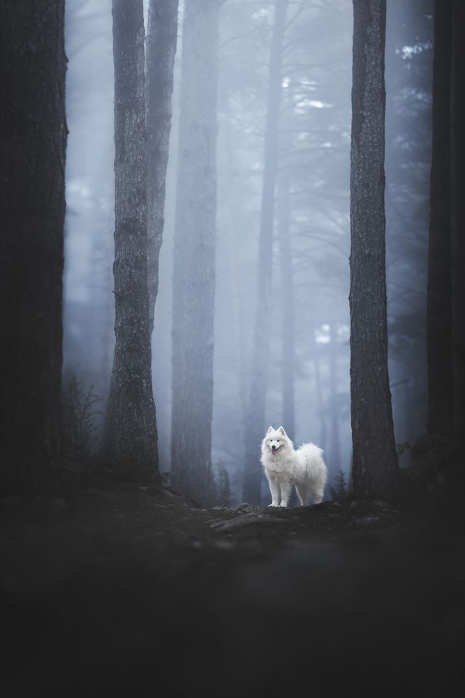 Photograph by Rut Casanellas