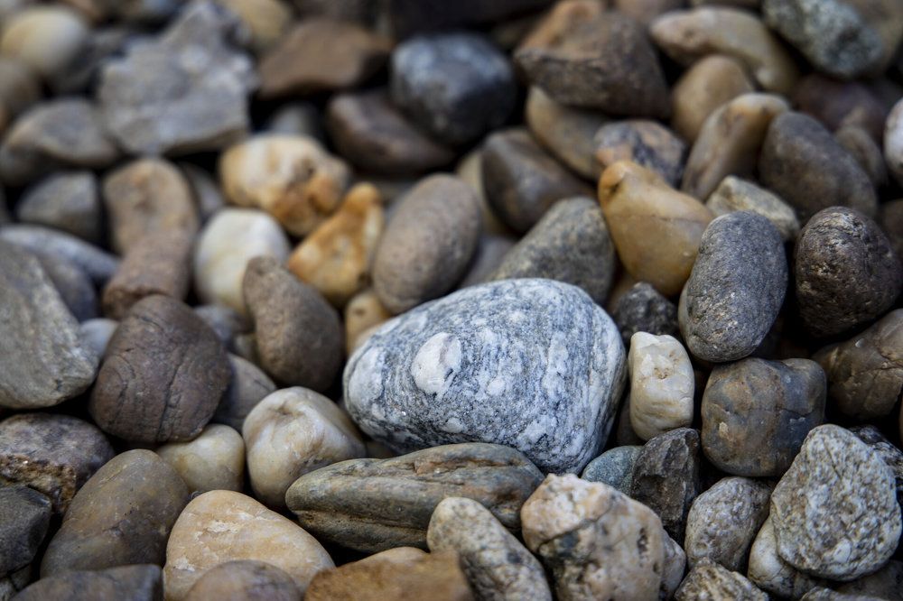 Photograph by Greta Jordanova