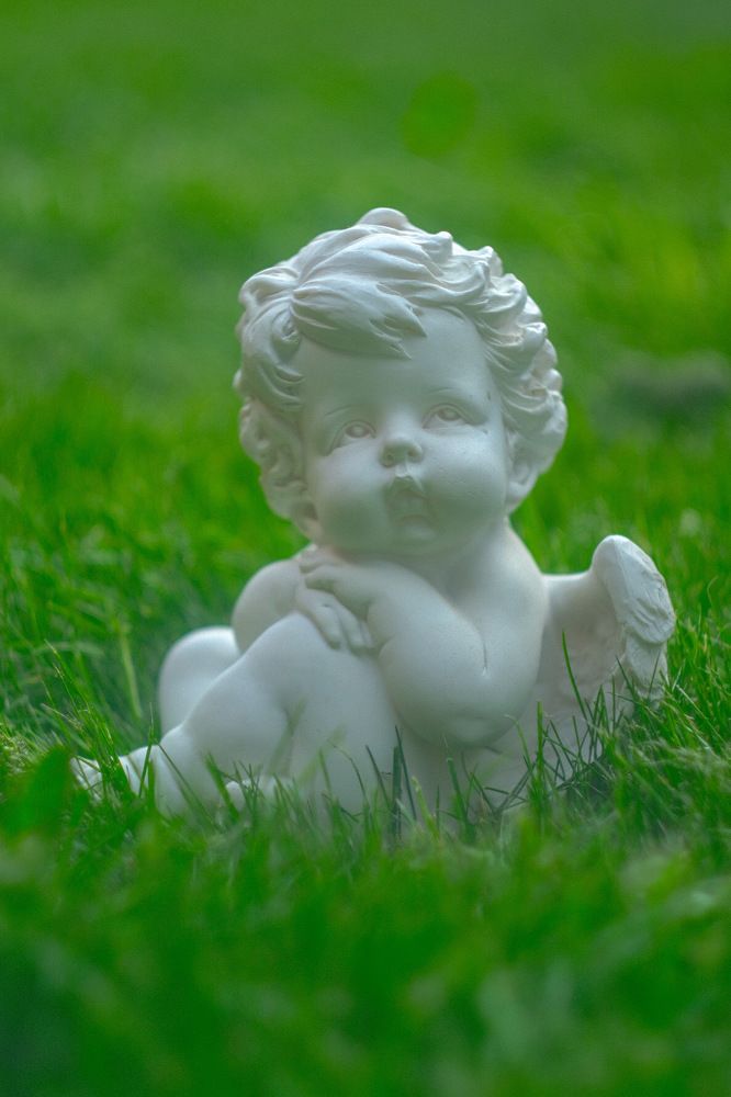 Photograph by Алексей Большаков