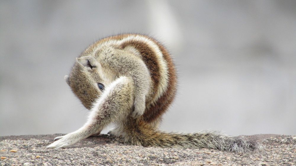 Photograph by Pihu chudasama