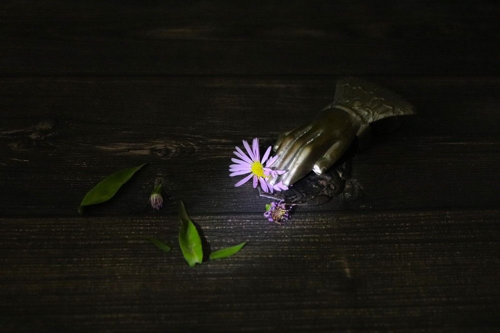 Фотография автора Ирина Садовникова