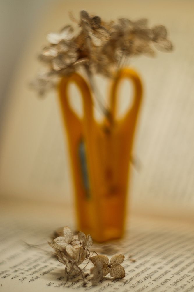 Photograph by Елена Квасова