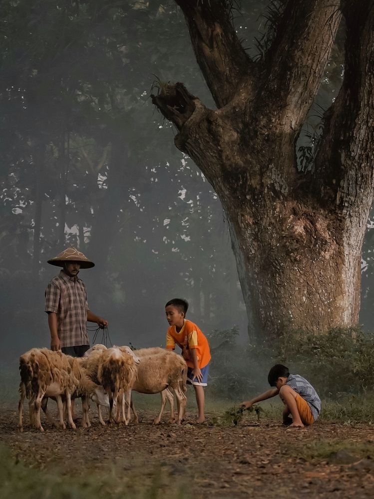 Photograph by Henri Fitriadi