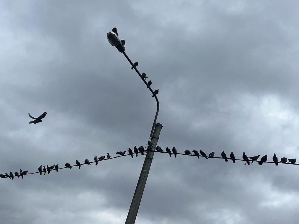 Photograph by Алексей Большаков